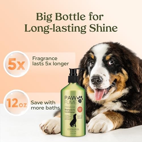 PAWFUME Deshedding Dog Shampoo and Conditioner, Show Dog, 1-Pack – Nourish & Detangle for Silky Soft Coat – Probiotic, Deep-Cleaning, pH-Balanced Formula – Salon-Quality Shampoo for Dogs