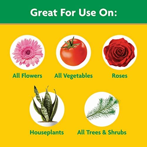 Miracle-Gro Water Soluble All Purpose Plant Food, Fertilizer for Indoor or Outdoor Flowers, Vegetables or Trees, 3 lbs.