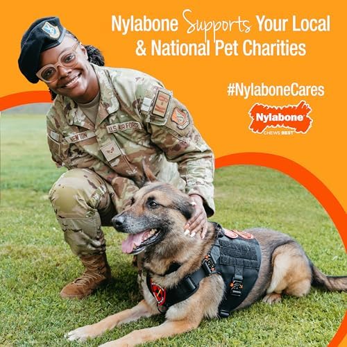 Nylabone Healthy Edibles WILD Natural Dog Chew Treats for Small Dogs, Long Lasting Dog Healthy Chew Bones Made in USA, Bison Flavor, For Dogs Up to 25 lbs. (8 Count)