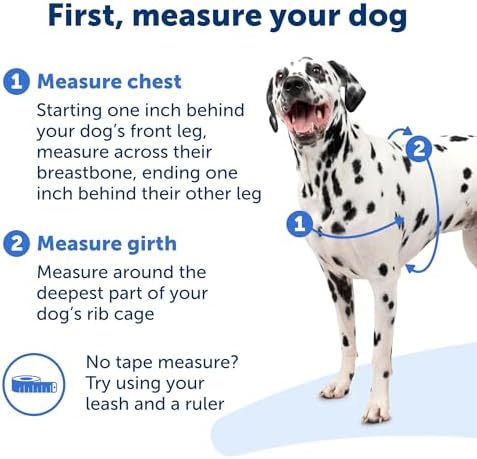 PetSafe Easy Walk No-Pull Dog Harness - The Ultimate Harness to Help Stop Pulling - Take Control & Teach Better Leash Manners - Helps Prevent Pets Pulling on Walks, Medium, Raspberry/Gray