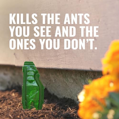 TERRO Liquid Ant Baits - T1813 - Outdoor Ready-to-Use Terro Ant Traps - Pack of 12 Liquid Traps