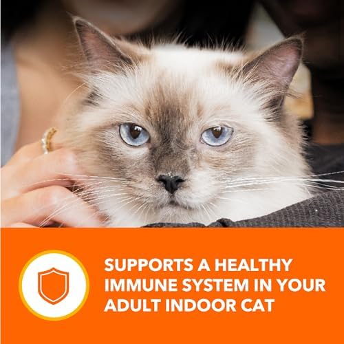 IAMS Perfect Portions Indoor Adult Wet Cat Food Cuts in Gravy Variety Pack, Salmon and Tuna Recipes, 2.6 oz. Easy Peel Twin-Pack Trays (12 Count, 24 Servings)
