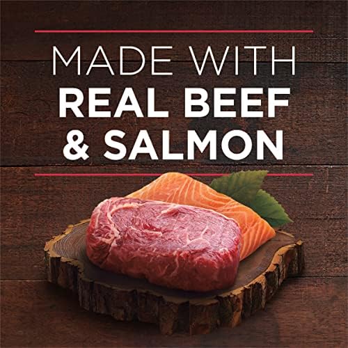 Purina ONE High Protein Wet Dog Food True Instinct Tender Cuts in Dog Food Gravy With Real Beef and Wild-Caught Salmon - (Pack of 12) 13 oz. Cans