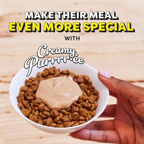 Temptations Creamy Puree Squeezable Lickable Wet Cat Treats with Salmon, 0.42 oz. Tubes, 4 Count, Pack of 11 (44 Total)