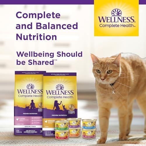 Wellness Complete Health Pate Adult Wet Cat Food, Natural, Protein-Rich, Grain-Free, 3 Ounce, 24 Pack, (Chicken & Turkey Variety Pack)