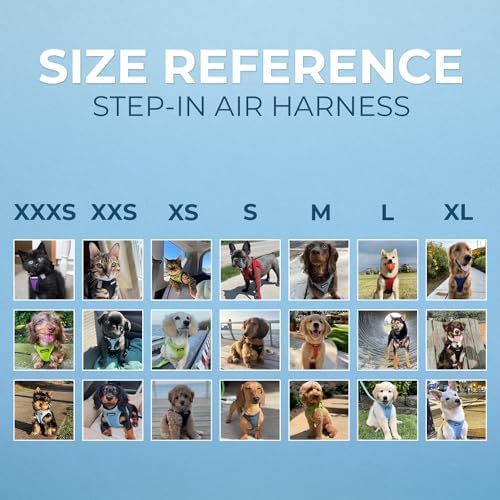 Best Pet Supplies Voyager Step-in Air Dog Harness - All Weather Mesh, Reflective, No Pull Harness for Small, Medium Dogs, Cats - Secure with Hook & Loop Fastener, Buckle, Double D-Rings - Fuchsia, M