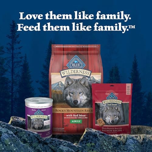 Blue Buffalo Wilderness Trail Treats Crunchy Dog Biscuits, Grain-Free and High-Protein Dog Treats Made with Natural Ingredients, Salmon Recipe 24-oz Bag