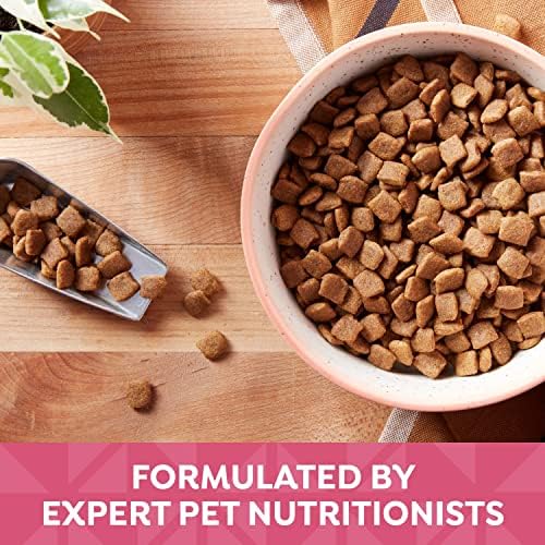 Nature's Recipe Grain Free Dry Dog Food, Salmon, Sweet Potato & Pumpkin Recipe, 12 lb. Bag
