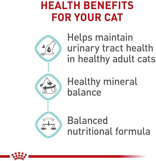 Royal Canin Feline Care Nutrition Urinary Care Adult Dry Cat Food, 6 lb bag