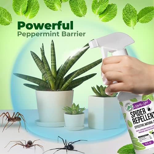Mighty Mint Peppermint Oil Spider Repellent Spray – Natural Indoor & Outdoor Bug Control for Spiders and Insects – Plant-Based, Extra-Strong Formula - 16 oz