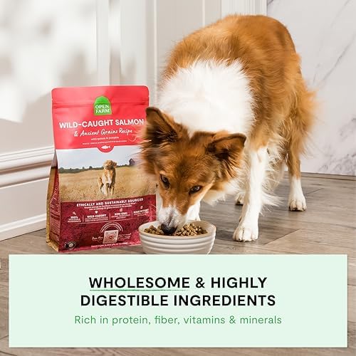 Open Farm, Ancient Grains Dry Dog Food, Protein-Rich & Nutrient Dense, 90% Animal Protein Mixed with Non-GMO Fruits, Veggies and Superfoods, Wild Caught Salmon Recipe, 22lb Bag