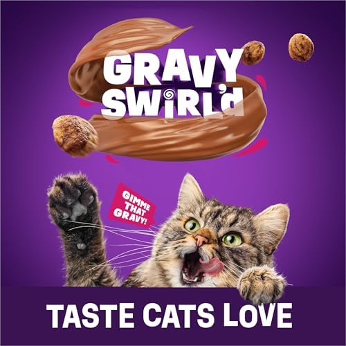 Purina Friskies Dry Cat Food Gravy Swirl'd With Flavors of Chicken, Salmon and Gravy - 22 lb. Bag