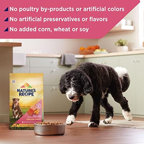 Nature's Recipe Grain Free Dry Dog Food, Salmon, Sweet Potato & Pumpkin Recipe, 12 lb. Bag