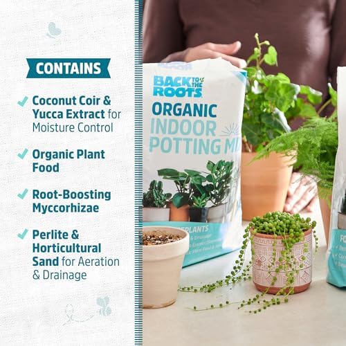 Back to the Roots 100% Organic Indoor Potting Mix (Value 12 Quart) | Promotes Healthy Houseplant Growth| Made in The USA