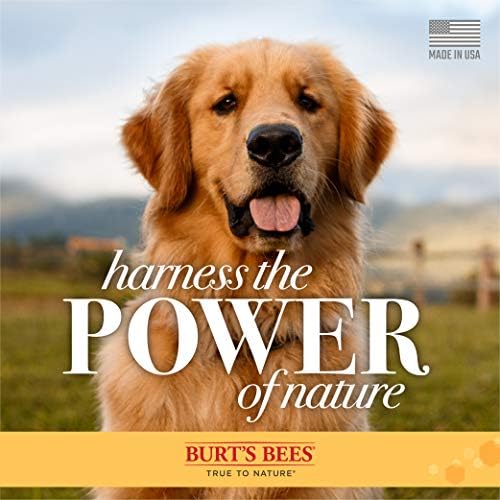 Burt's Bees for Pets Oatmeal Dog Shampoo with Colloidal Oat Flour and Honey, 95% Natural Origin Formulas, Shampoo for Dogs - Gentle Dog Shampoo, Best Dog Shampoo, 32 oz