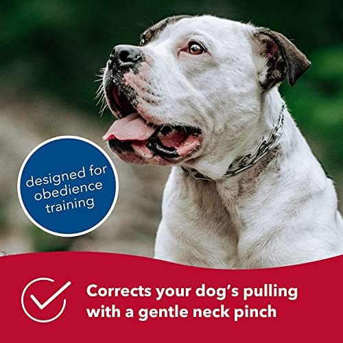 Herm SPRENGER Ultra-Plus Prong Dog Training Collar, 2.25 mm x 13" Neck Size, 16" Chain Length, Steel Chrome Plated Dog Prong Collar, Pinch Collar for Dogs, Dog Correction Collar