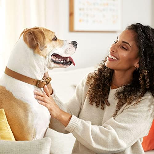 Rachael Ray Nutrish Dog Chews Soup Bones With Real Beef & Barley, 24 Dog Treats
