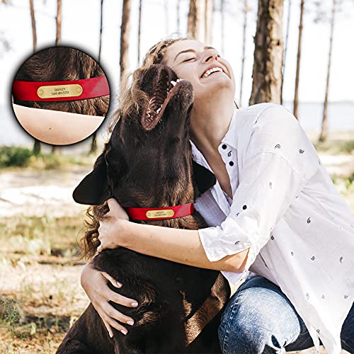 Regal Dog Products Small Red with Custom Engraved Waterproof Dog Collar and Leash Set | Waterproof Dog Collar with D Ring | Center Ring & 5'ft Leash | Matching Dog Collar and Leash for Dogs