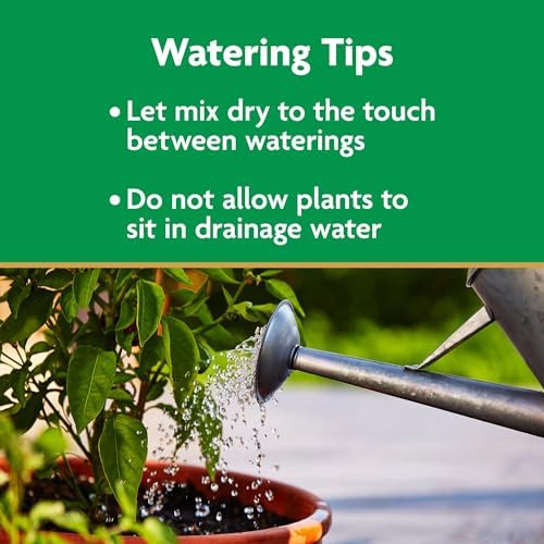 Miracle-Gro Potting Mix, For Container Plants, Flowers, Vegetables, Shrubs, Annuals, Perennials, Feeds up to 6 Months, 8 qt., 2-Pack