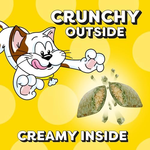 Temptations Classic Crunchy and Soft Cat Treats Blissful Catnip Flavor, 3 oz. Pouch (Pack of 12)
