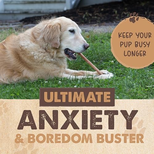 Mighty Paw Long Lasting 12" Bully Sticks for Dogs - All Natural Grass Fed Beef Chews. Lower Odor Dog Bully Sticks for Large Dogs, Medium and Small Breeds. Single Ingredient Treats