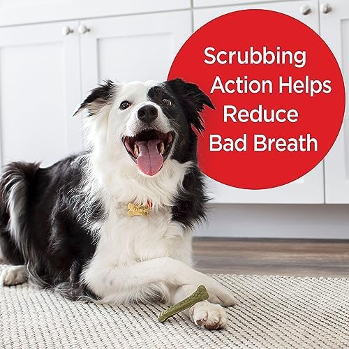 Milk-Bone Brushing Chews Daily Dental Dog Treats, Fresh Mint Flavor, Small/Medium, 25 Count