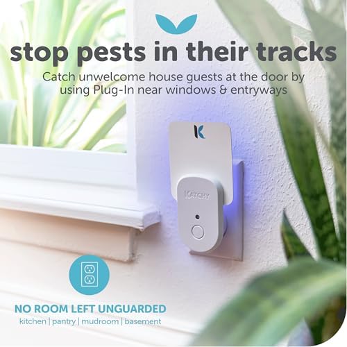 KATCHY Indoor Plug-in Insect Trap - Catcher & Killer for House Flies, Mosquitoes, Fruit Flies, Gnants, and Mosquitos - Chemical-Free, Eco-Friendly, Easy to Clean (2 Pack with 8 Glue Boards)