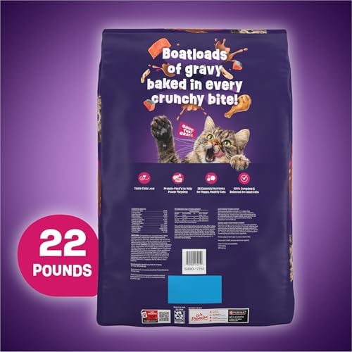 Purina Friskies Dry Cat Food Gravy Swirl'd With Flavors of Chicken, Salmon and Gravy - 22 lb. Bag