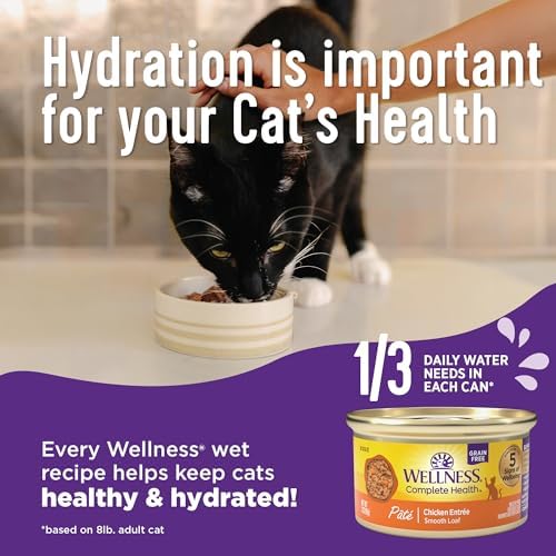 Wellness Complete Health Pate Adult Wet Cat Food, Natural, Protein-Rich, Grain-Free, 3 Ounce, 24 Pack, (Chicken & Turkey Variety Pack)