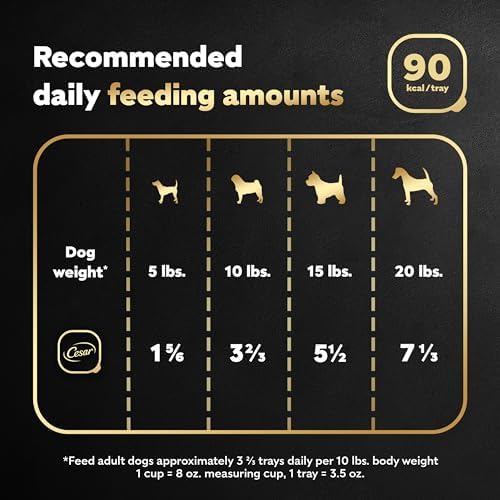 Cesar Wet Dog Food Classic Loaf in Sauce Filet Mignon Flavor, 3.5 oz. Easy Peel Trays (24 Count, Pack of 1)