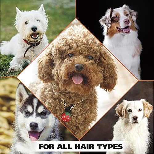 Wahl USA Dry Skin & Itch Relief Pet Shampoo for Dogs – Oatmeal Formula with Coconut Lime Verbena - 64 Oz - Model 821004-050