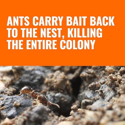 TERRO Liquid Ant Baits - T1813 - Outdoor Ready-to-Use Terro Ant Traps - Pack of 12 Liquid Traps