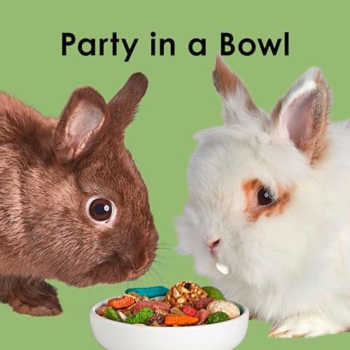 Kaytee Fiesta Rabbit Food, Nutritious and Fun Blend, Supports Dental Health and Digestion, 6.5 pounds