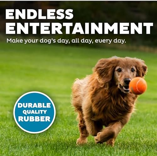 Outward Hound Squeaker Ballz, Interactive Dog Toy, Squeaky Tennis Ball, Durable Dog Toy for Fetch, Multi-Pack of 4, Large