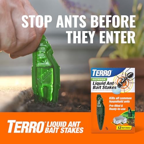 Terro T334B Liquid Ant Baits Indoor - Terro Ant Trap and Bait Stations - 8 Liquid Traps