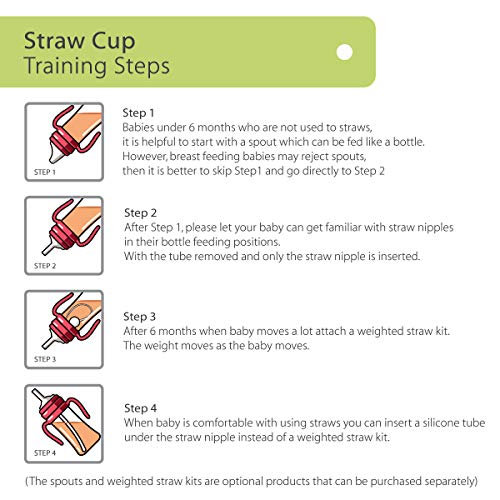 GROSMIMI Spill Proof no Spill Magic Sippy Cup with Straw with Handle for Baby and Toddlers, Customizable, PPSU, BPA Free 10 oz (Pink)