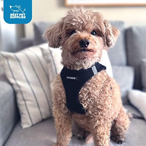 Voyager Step-In Air Dog Harness - All Weather Mesh, Reflective, No Pull Harness for Small, Medium Dogs, Cats - Secure with Hook & Loop Fastener, Buckle, Double D-Rings - Black/Black Trim, XS