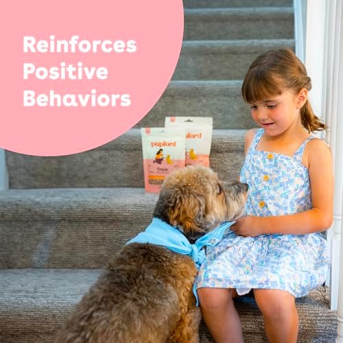 Pupford Freeze Dried Training Treats for Dogs & Puppies, 475+ Two Ingredient Bites (Chicken, 4 oz)