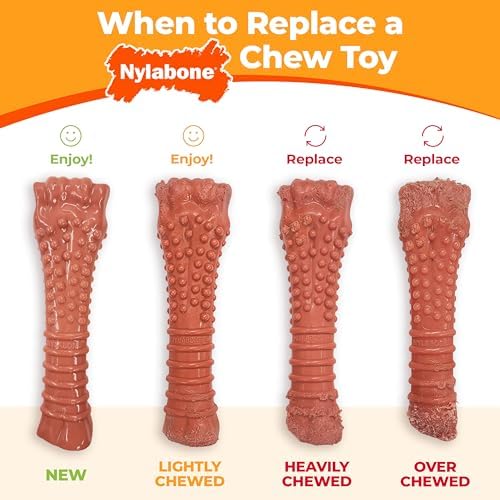 Nylabone Broccoli Power Chew Toy for Dogs, Dog Toys for Aggressive Chewers, Bacon & Cheese Flavor, Large Dogs - Up to 50 lbs, 1 Count