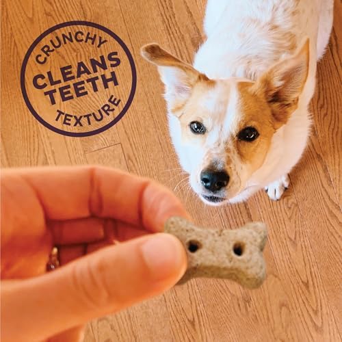Old Mother Hubbard by Wellness Classic Original Mix Natural Dog Treats, Crunchy Oven-Baked Biscuits, Ideal for Training, Mini Size, 3.8 pound bag