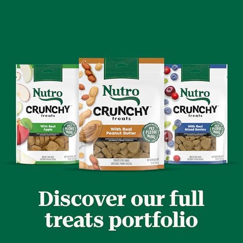 Nutro Crunchy Dog Treats with Real Apple, 16 oz. Bag