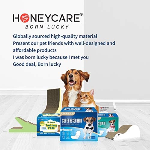 HONEY CARE All-Absorb Disposable Female Dog Diapers M Size, Improved Bigger Size, 36 Count, Super Absorbent, Breathable, Wetness Indicator (Pack of 1, 36 Count Total)