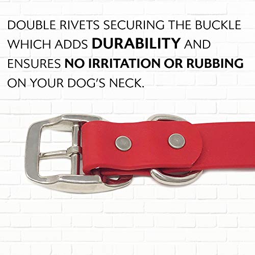 Regal Dog Products Small Red with Custom Engraved Waterproof Dog Collar and Leash Set | Waterproof Dog Collar with D Ring | Center Ring & 5'ft Leash | Matching Dog Collar and Leash for Dogs