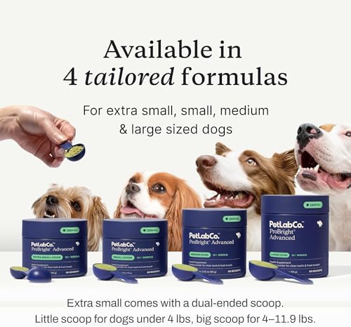 PetLab Co. ProBright Advanced Dental Powder - Dog Breath Freshener - Teeth Cleaning Made Easy – Targets Tartar & Bad Breath - Packaging May Vary - Formulated for Small Dogs