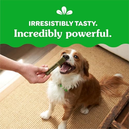 Greenies Petite Dental Dog Treats, Blueberry Flavor, 12 oz. Pack (20 Treats)