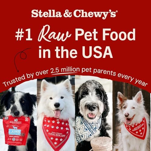 Stella & Chewy's Freeze-Dried Raw Beef Heart Dog Treats - Single Ingredient, No Additives - Premium Training Treats - Perfect For Picky Eaters - 3oz Bag