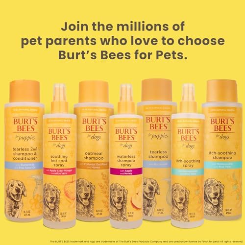 Burt's Bees for Pets Tearless Puppy 2-in-1 Shampoo and Conditioner with Buttermilk and Linseed Oil, 2pk, 95% Natural Origin Formulas, Best Gentle Shampoo for Puppies - Tear Free, 16 oz - 2 Pack