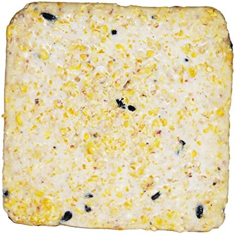 Suet Cake Variety Packs | 11 oz. Wild Bird Suet Cakes | (High Energy, 10 Pack)