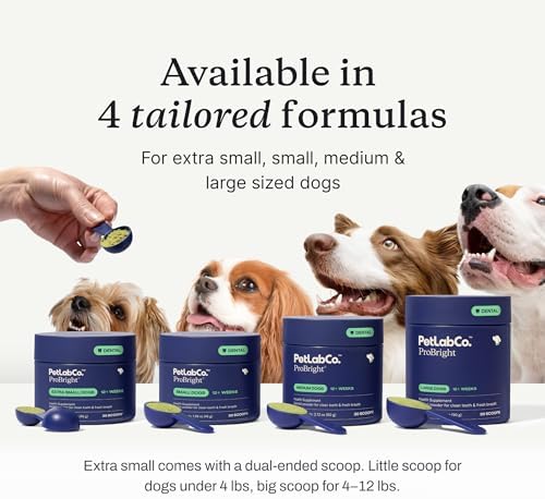 PetLab Co. ProBright Dental Powder - Dog Breath Freshener - Teeth Cleaning Made Easy – Targets Tartar & Bad Breath - Formulated for Small Dogs - Packaging May Vary