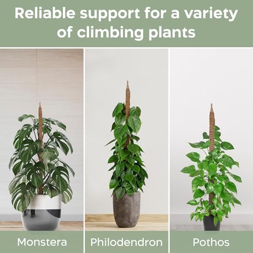 2 Pack 28'' Bendable Moss Pole Monstera Plant Support for Climbing Indoor Plants - Stakes for Potted Climbers - Tall Sticks Indoor Trellis for Houseplants - Accessories for Monstera Pot